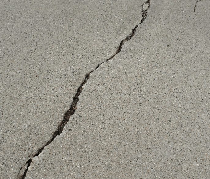 A crack in the concrete of a sidewalk.